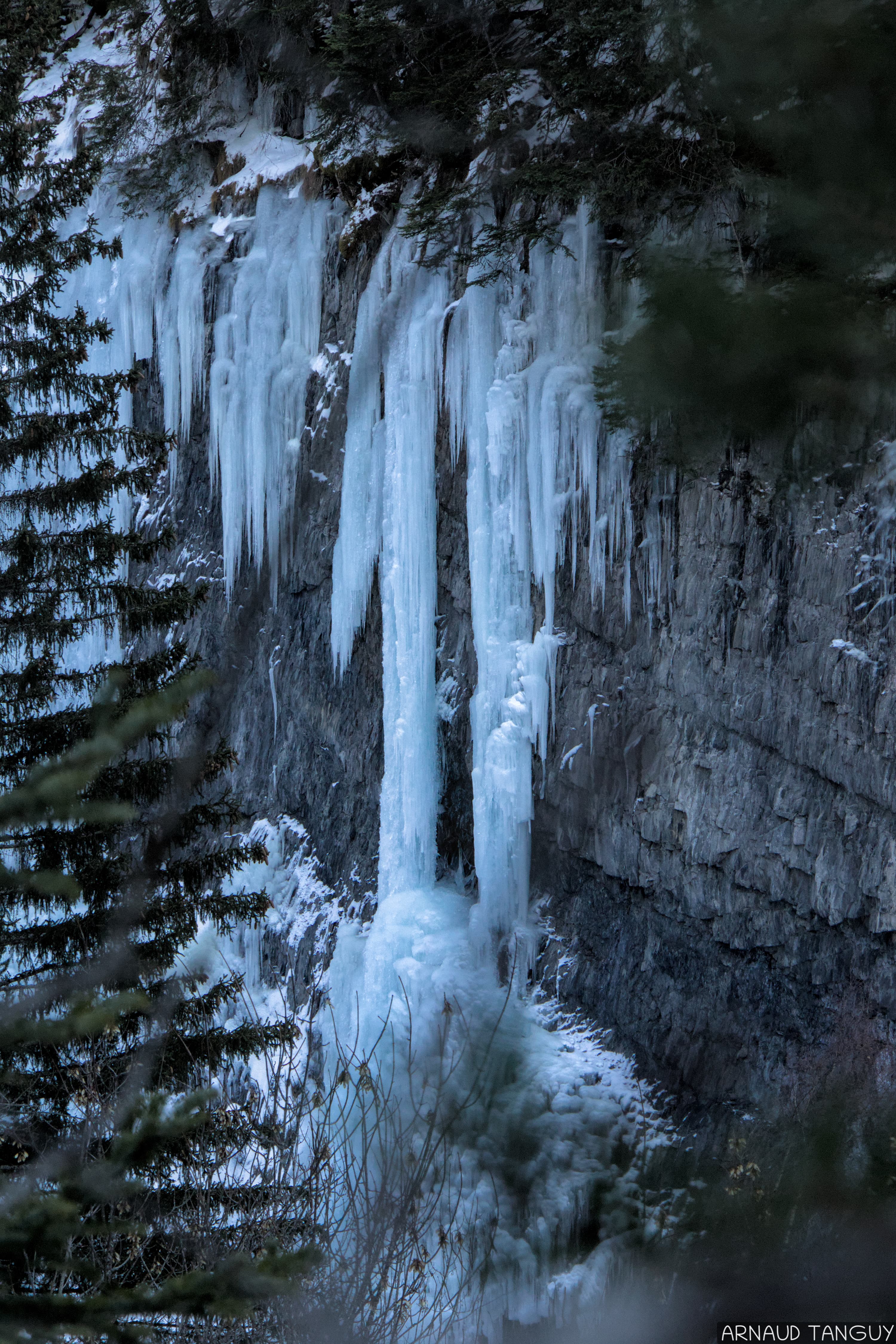 Les Cigares de Villard-Reymond