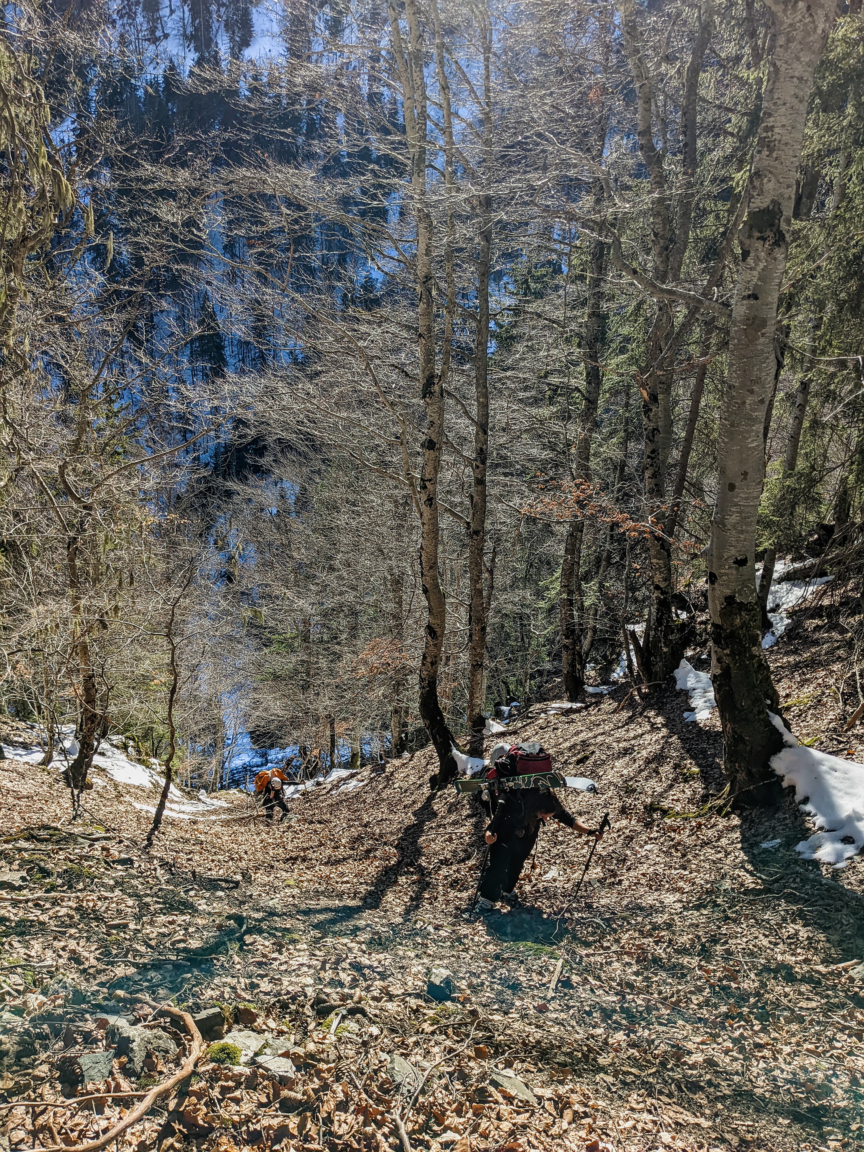 Mais où est donc passée la neige?