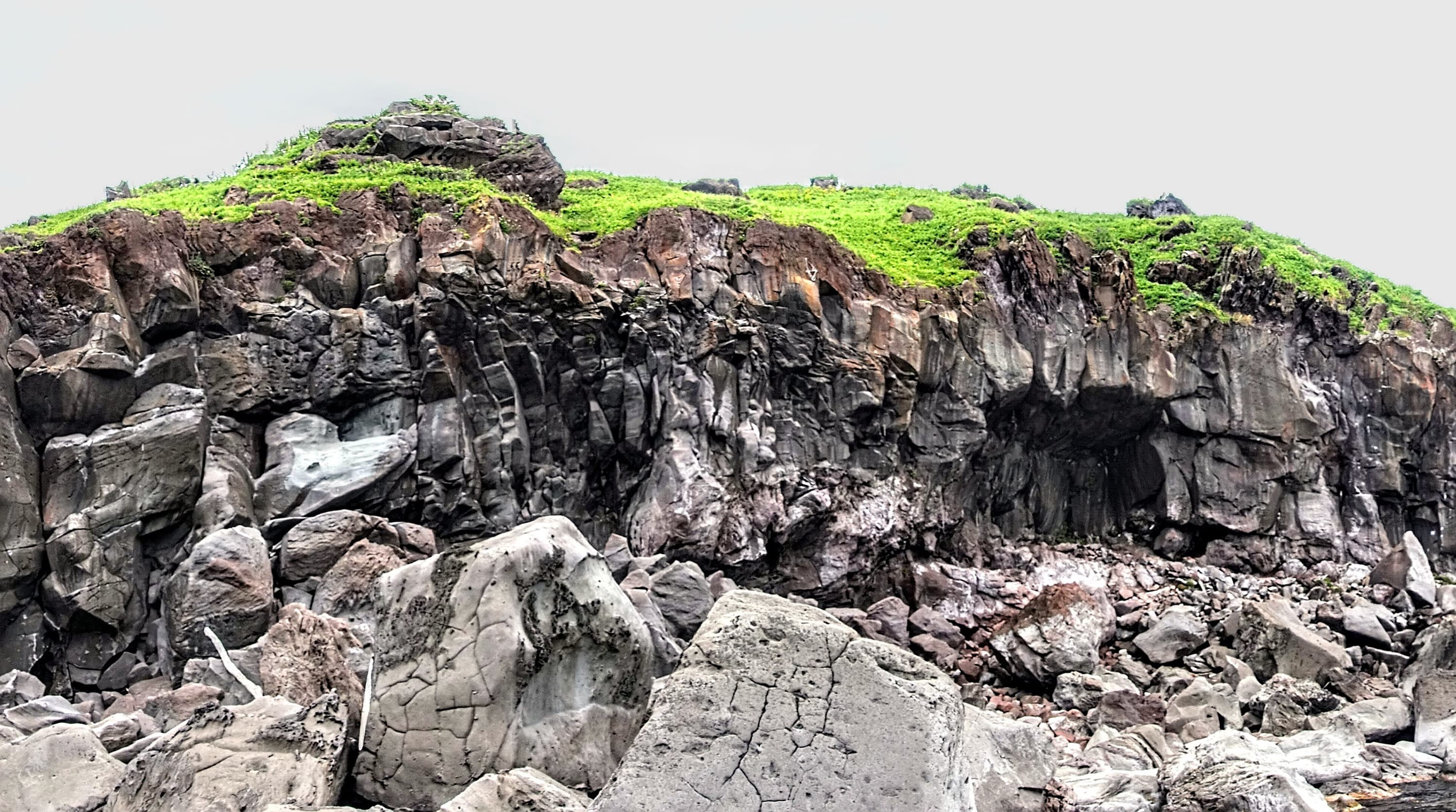 Overview of the cliff