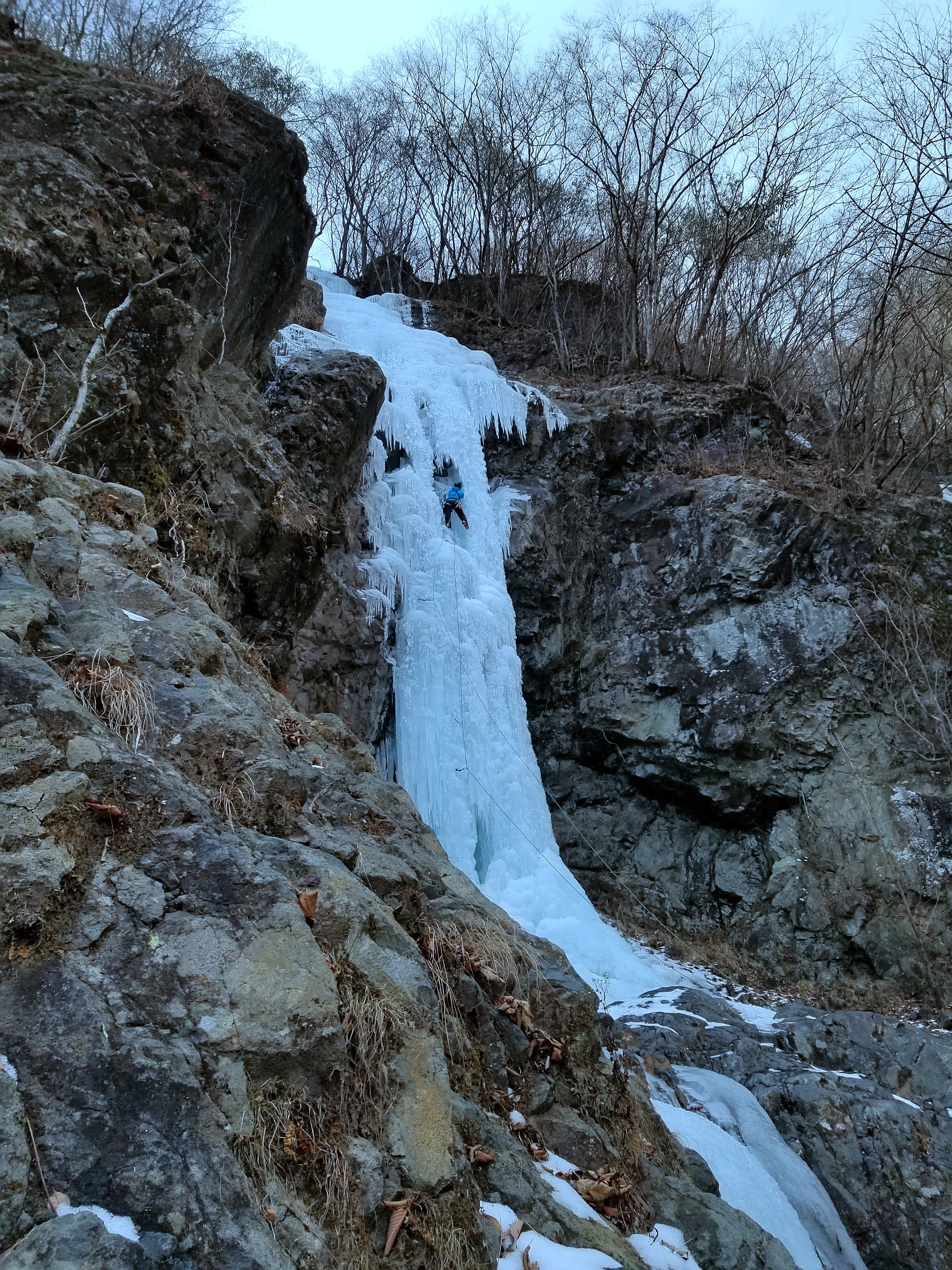 Dog Killing Waterfall