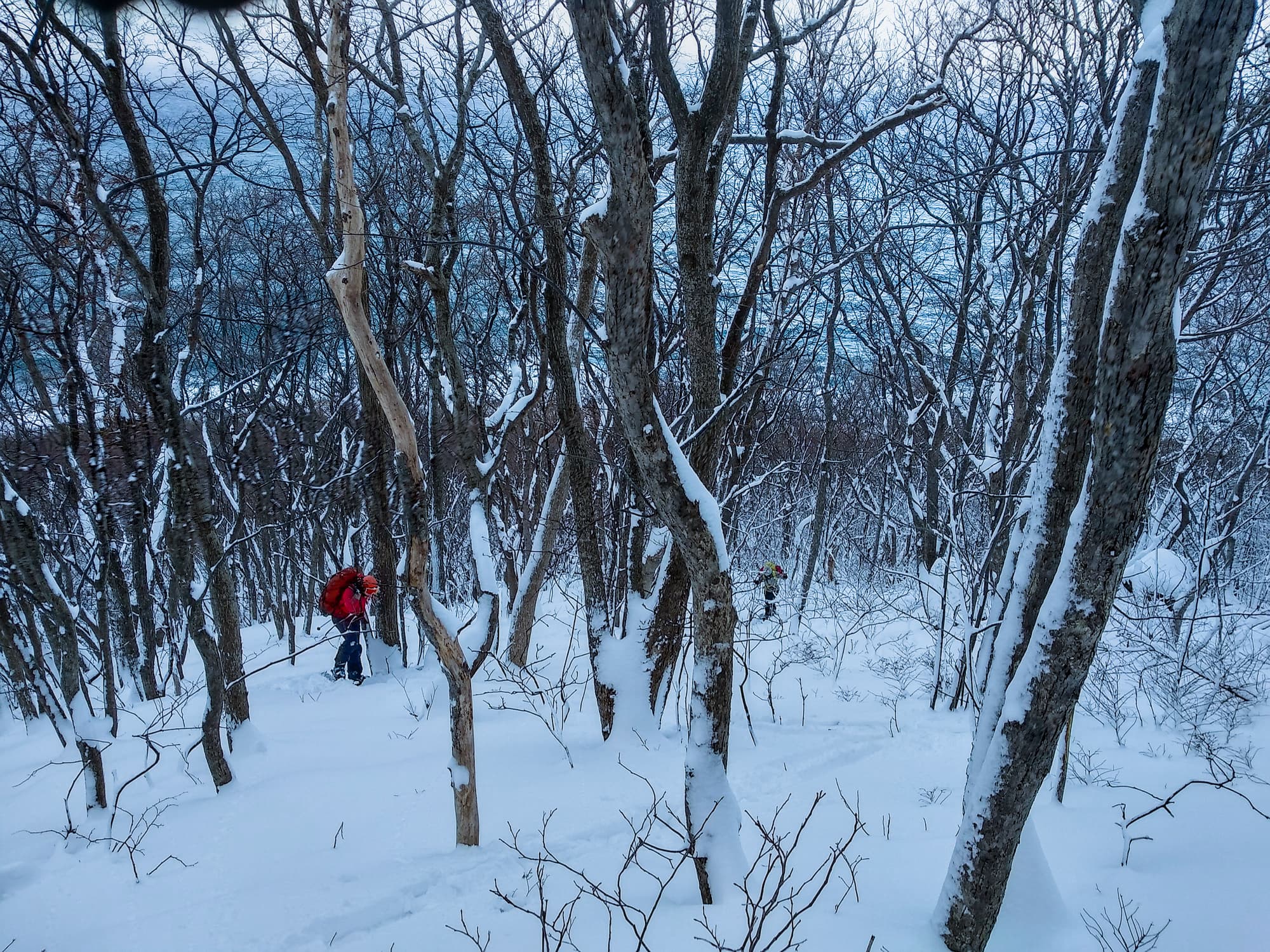 Ski or snowshoes approach