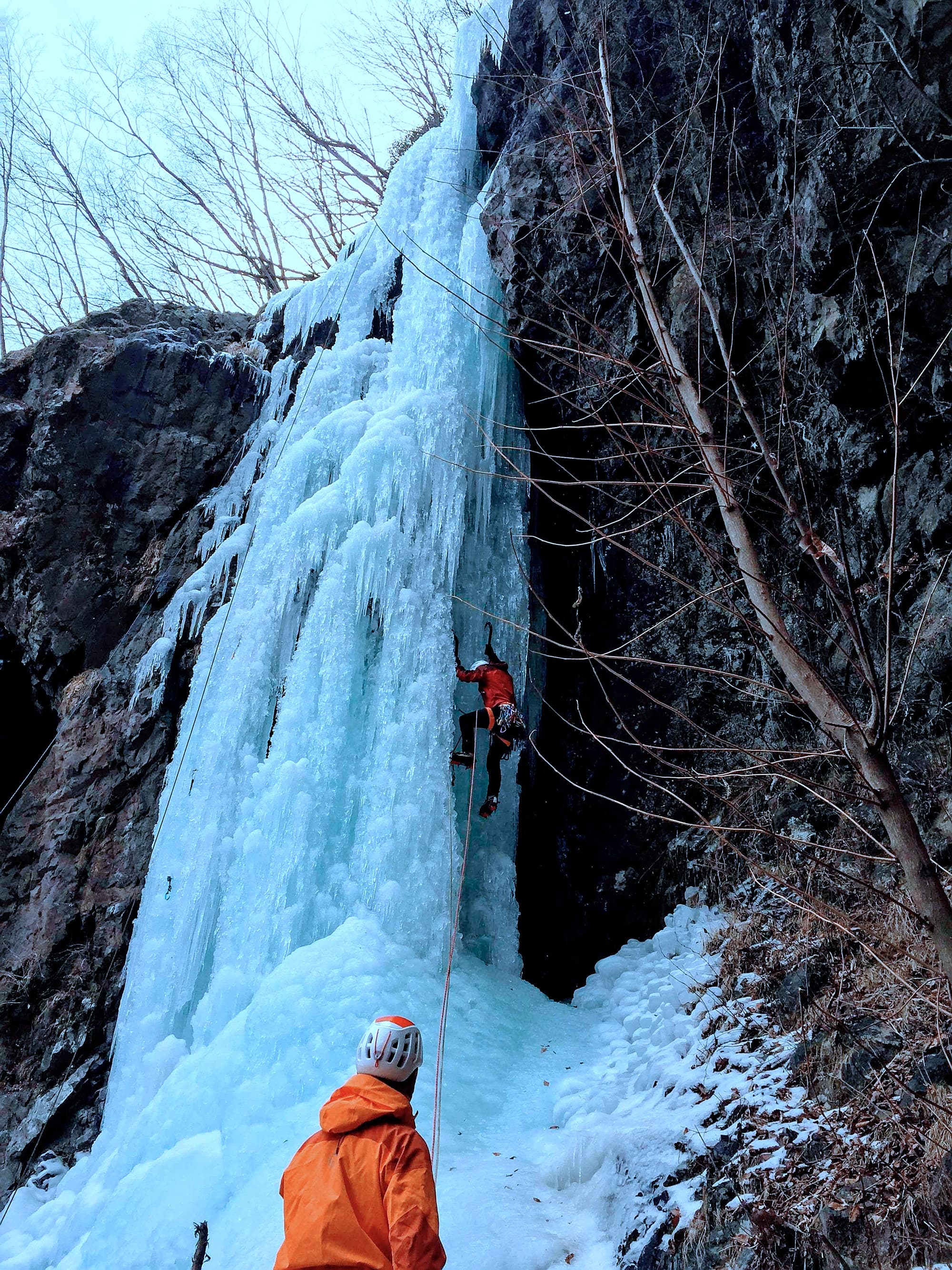 Dog Killing Waterfall