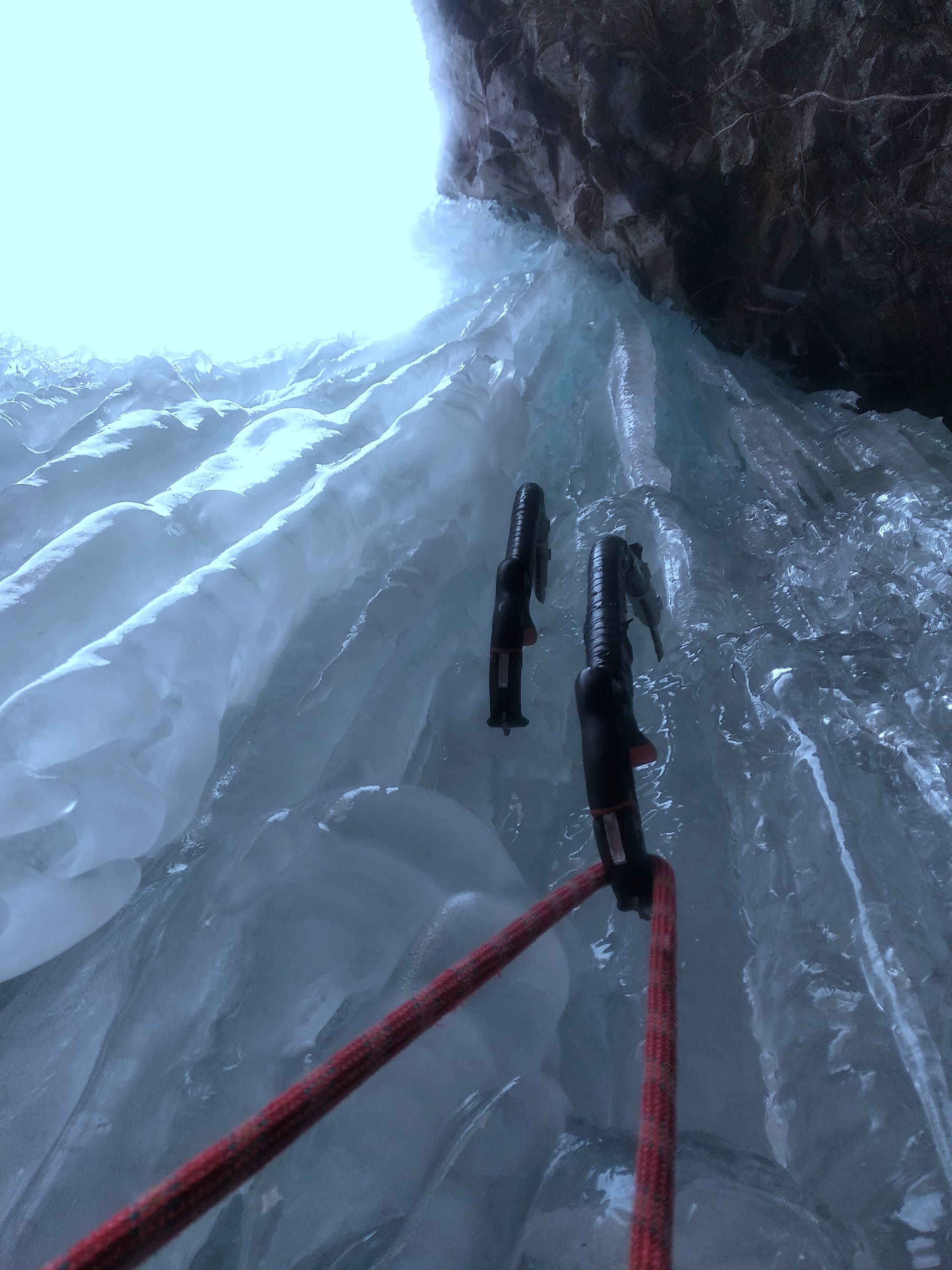 Dog Killing Waterfall