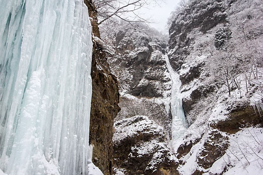 Unryukeikoky: when in good conditions!