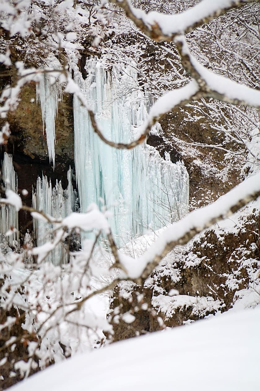 Unryukeikoky: when in good conditions!