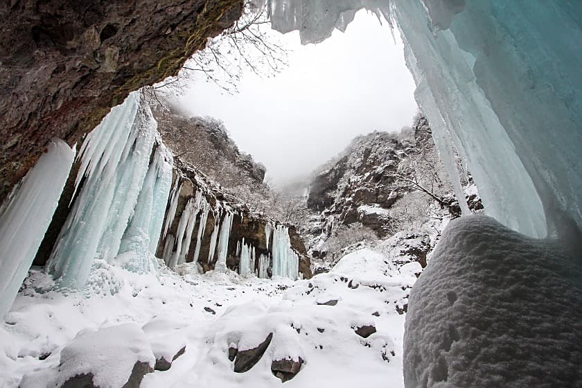 Unryukeikoky: when in good conditions!