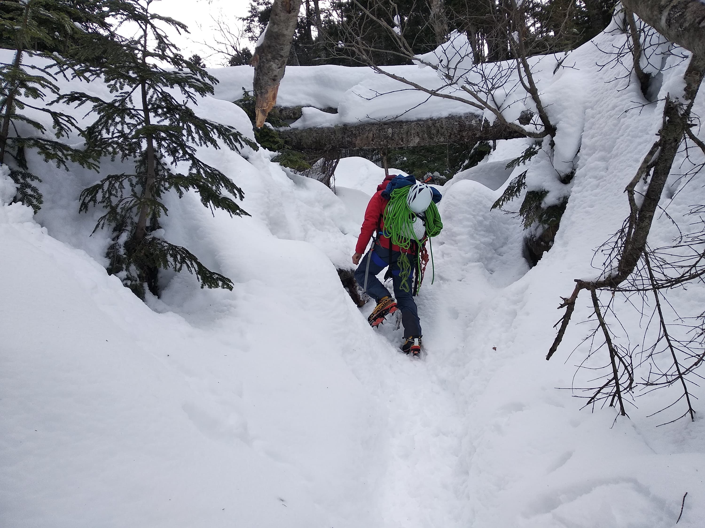 Approach towards 大同心